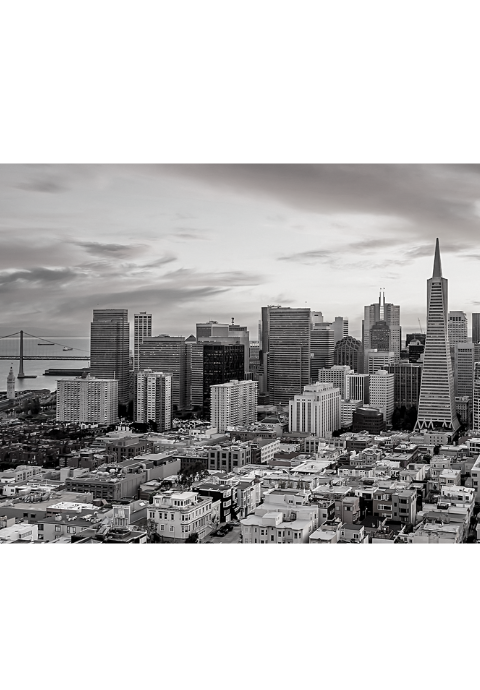 San Francisco skyline